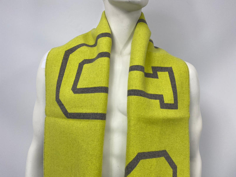 Louis Vuitton Men's Yellow & Gray Sheared Mink Fluo Scarf – Luxuria & Co.