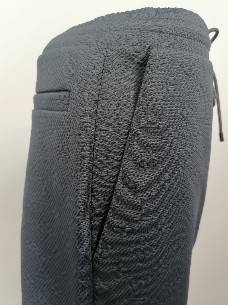 Louis Vuitton Lvse Monogram Pants, Grey, 38